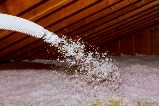 Types of Insulation We Offer in Halawa, HI