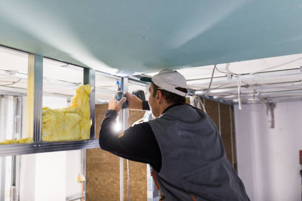 Best Spray Foam Insulation in Halawa, HI