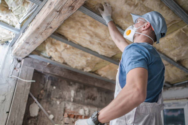 Best Geographic-Specific Insulation Services in Halawa, HI