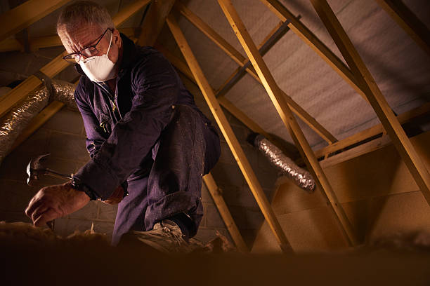 Best Cellulose Insulation in Halawa, HI